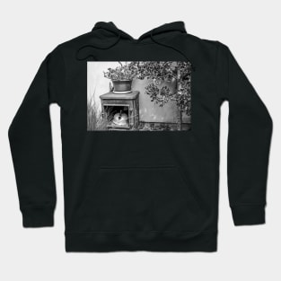 Ornate wood burner Hoodie